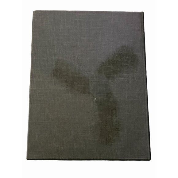 Netter's CIBA Medical Illustrations: Kidneys, Ureters, Bladder, Vol 6 - Picture 3 of 7